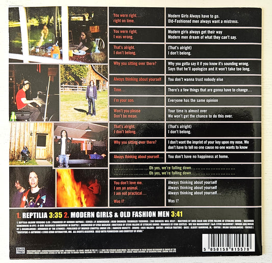 The Strokes, Reptilia