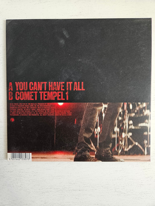 Ash-You Can't Have It All 7" vinyl
